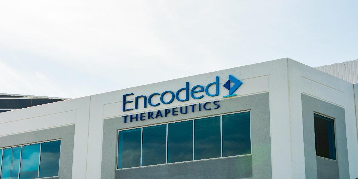 Encoded Therapeutics receives RMAT designation for SCN1A gene AAV drug ...