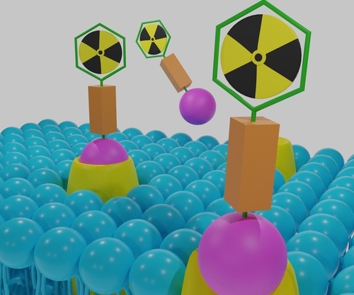 Philochem Licenses Radiopharmaceutical Targeting ACP3 to RayzeBio in a ...